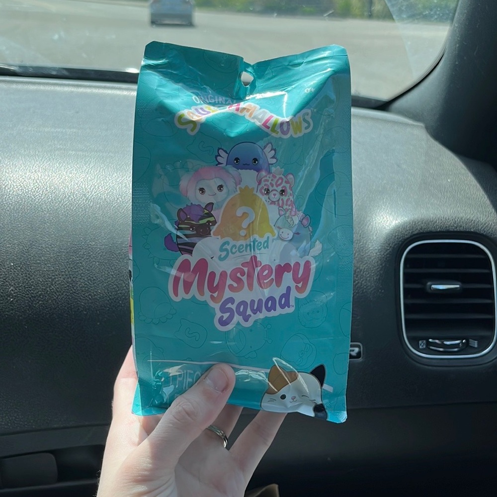 NWT Mystery Squishmallows Scented